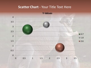 A Kangaroo And A Kangaroo Standing Next To Each Other PowerPoint Template