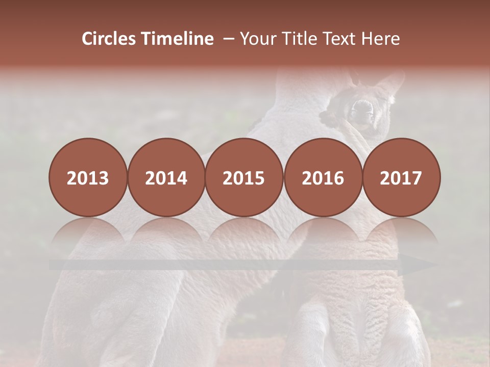 A Kangaroo And A Kangaroo Standing Next To Each Other PowerPoint Template