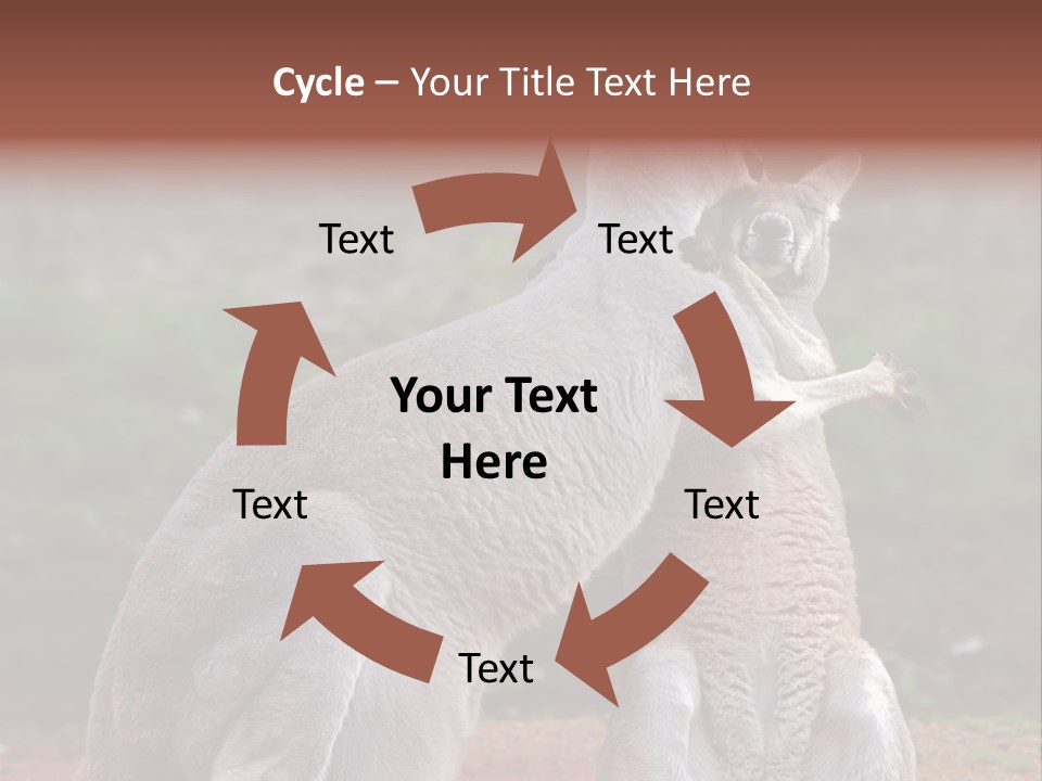 A Kangaroo And A Kangaroo Standing Next To Each Other PowerPoint Template