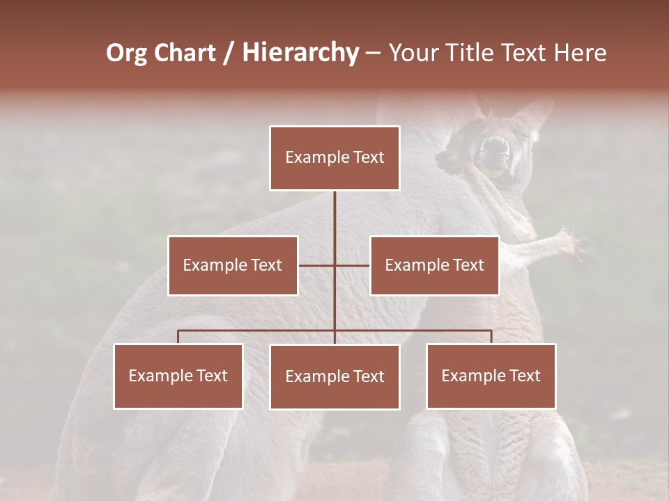 A Kangaroo And A Kangaroo Standing Next To Each Other PowerPoint Template