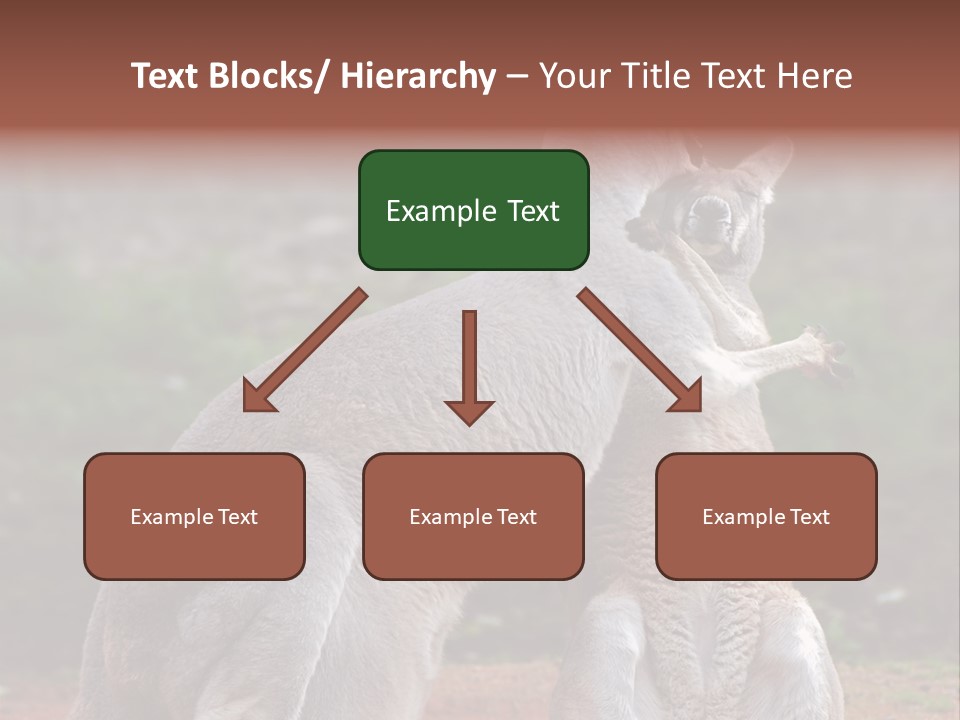 A Kangaroo And A Kangaroo Standing Next To Each Other PowerPoint Template