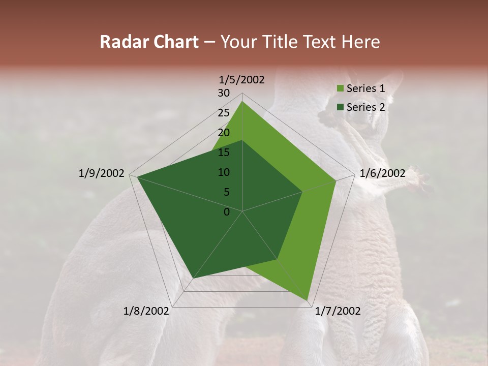 A Kangaroo And A Kangaroo Standing Next To Each Other PowerPoint Template