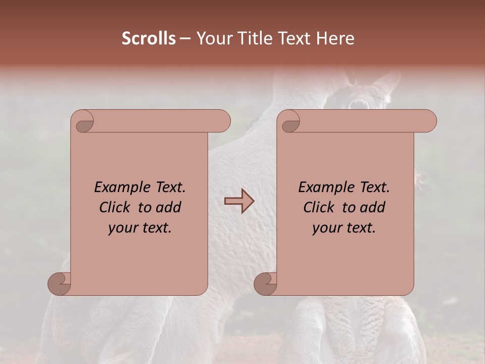 A Kangaroo And A Kangaroo Standing Next To Each Other PowerPoint Template