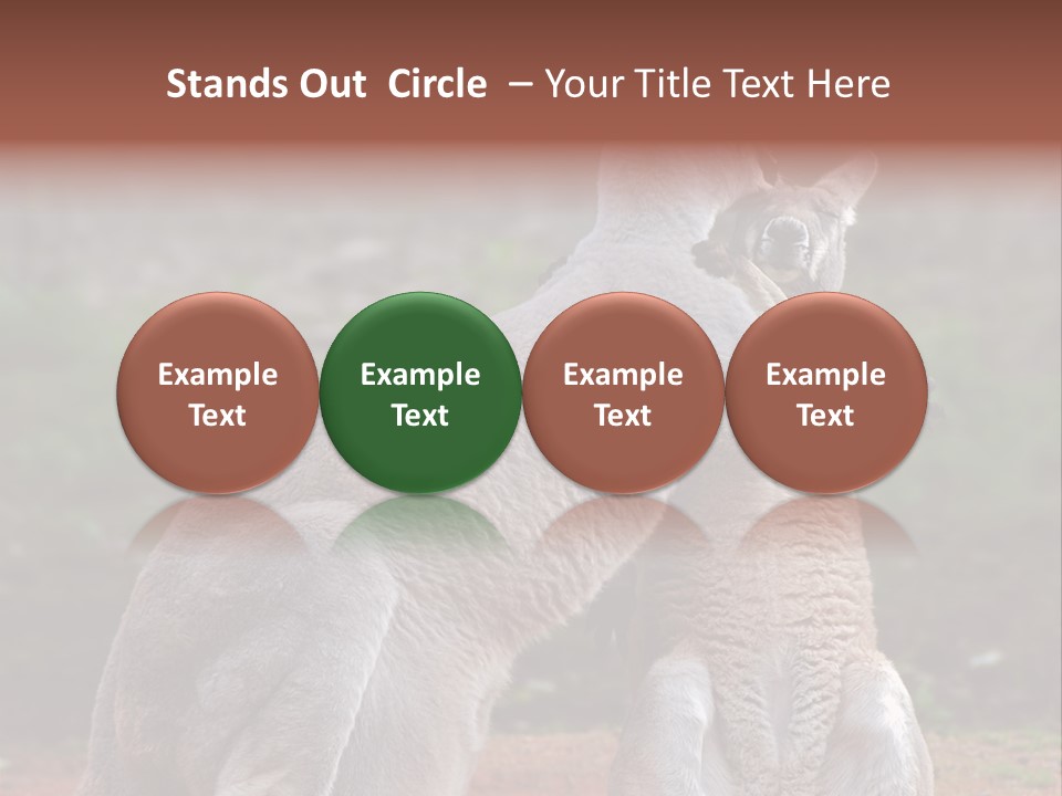 A Kangaroo And A Kangaroo Standing Next To Each Other PowerPoint Template