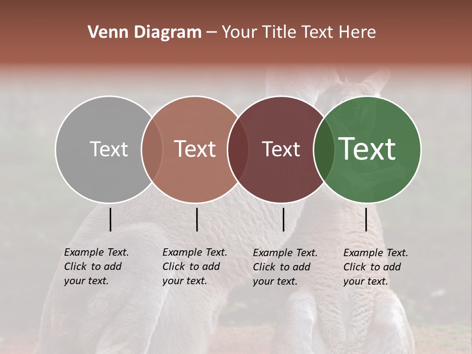 A Kangaroo And A Kangaroo Standing Next To Each Other PowerPoint Template