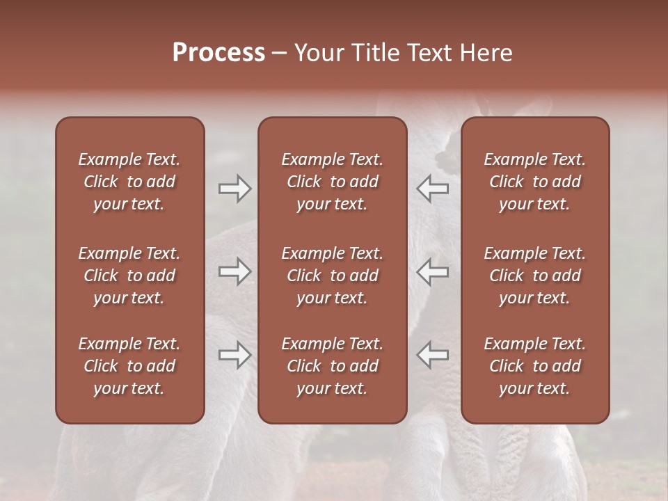 A Kangaroo And A Kangaroo Standing Next To Each Other PowerPoint Template