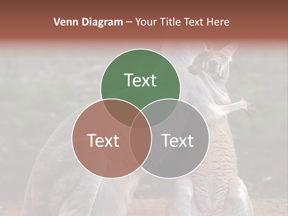 A Kangaroo And A Kangaroo Standing Next To Each Other PowerPoint Template