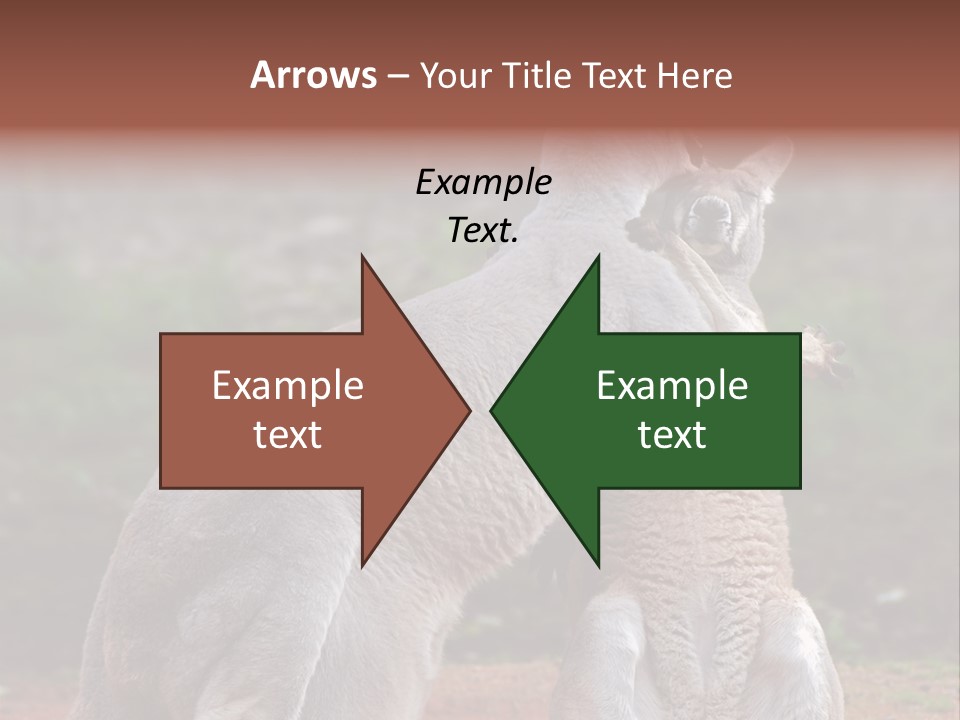 A Kangaroo And A Kangaroo Standing Next To Each Other PowerPoint Template