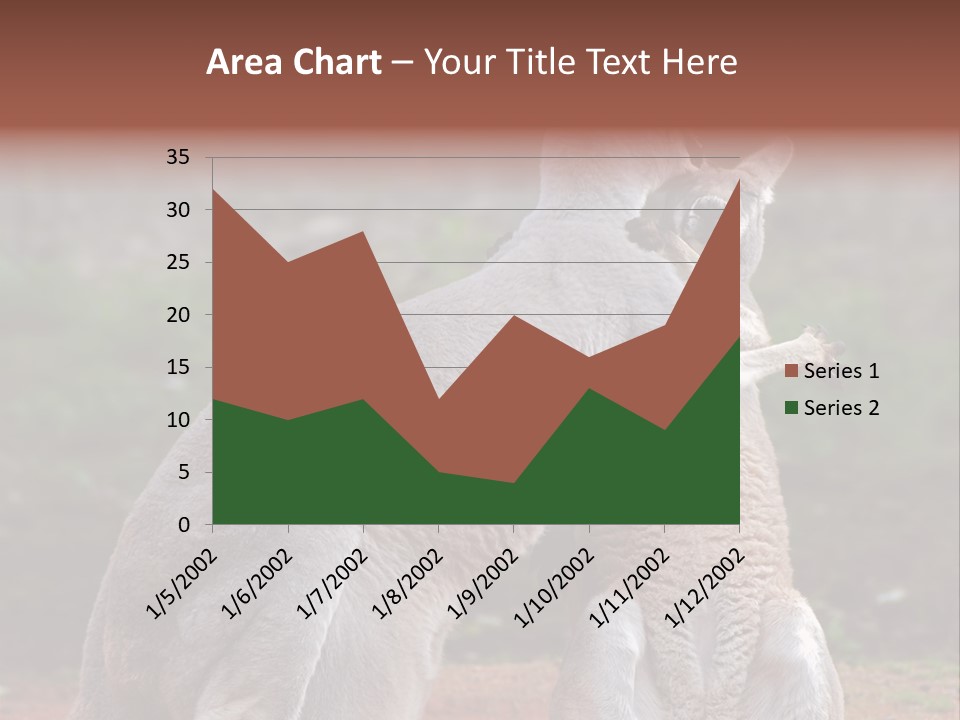A Kangaroo And A Kangaroo Standing Next To Each Other PowerPoint Template