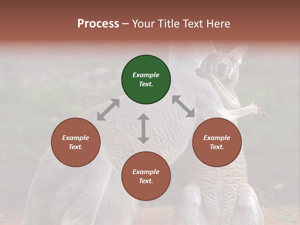 A Kangaroo And A Kangaroo Standing Next To Each Other PowerPoint Template