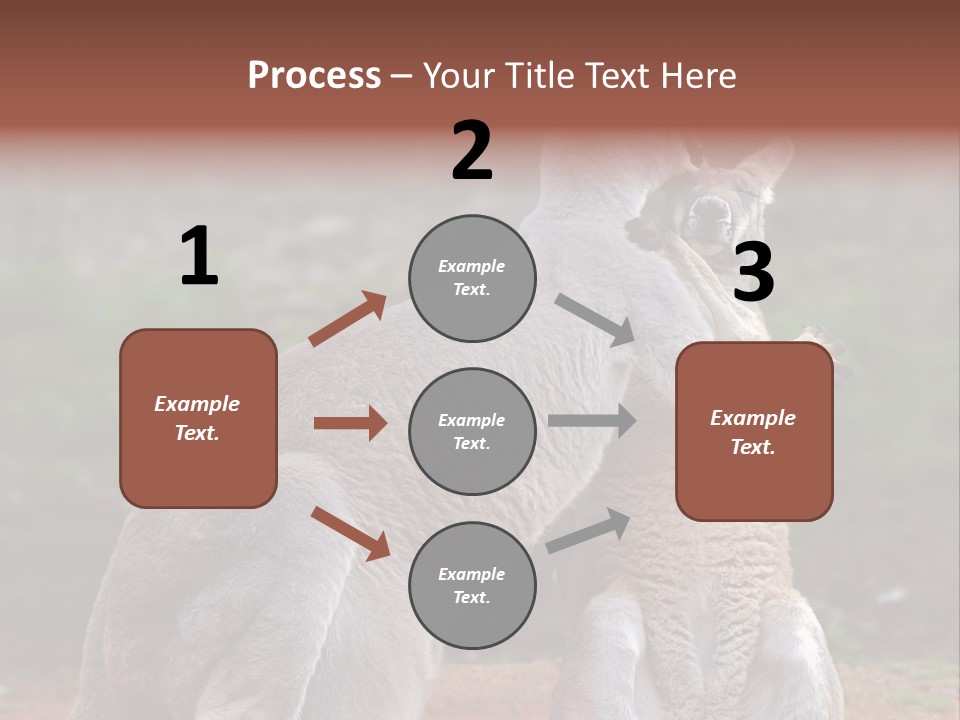 A Kangaroo And A Kangaroo Standing Next To Each Other PowerPoint Template