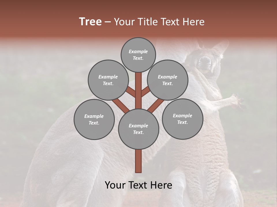 A Kangaroo And A Kangaroo Standing Next To Each Other PowerPoint Template