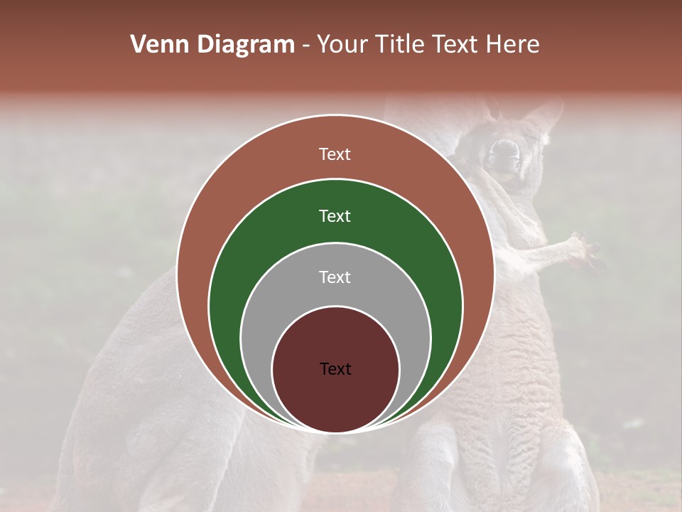 A Kangaroo And A Kangaroo Standing Next To Each Other PowerPoint Template