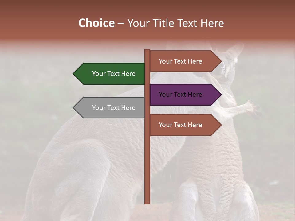 A Kangaroo And A Kangaroo Standing Next To Each Other PowerPoint Template