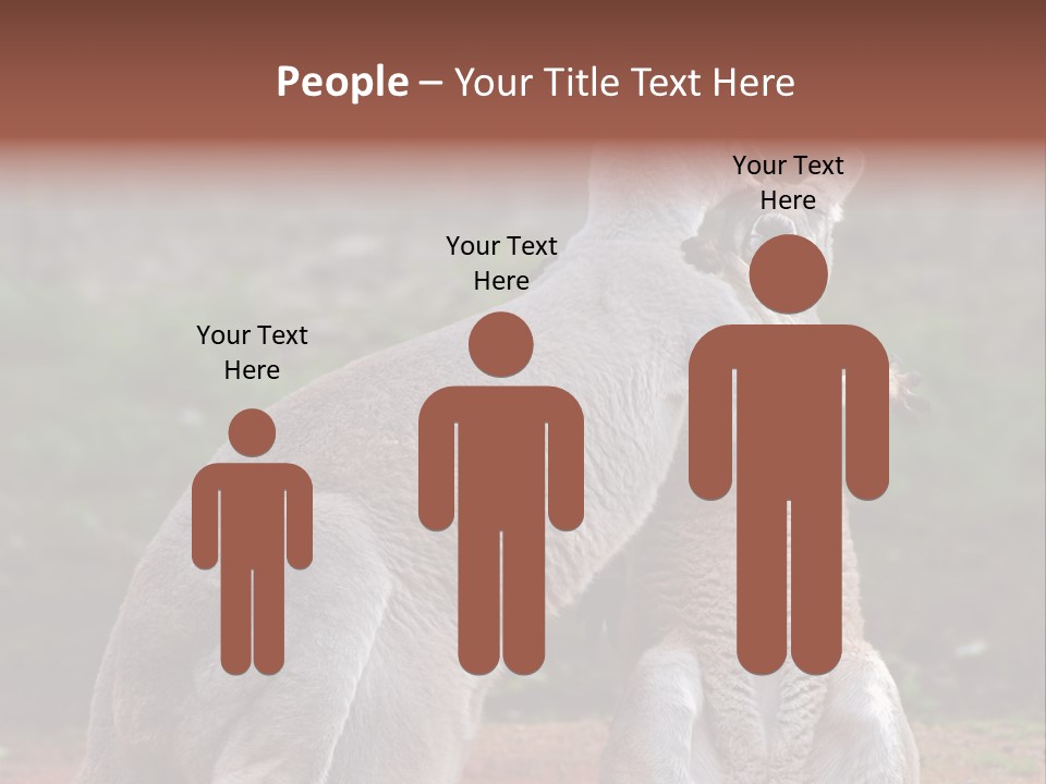 A Kangaroo And A Kangaroo Standing Next To Each Other PowerPoint Template