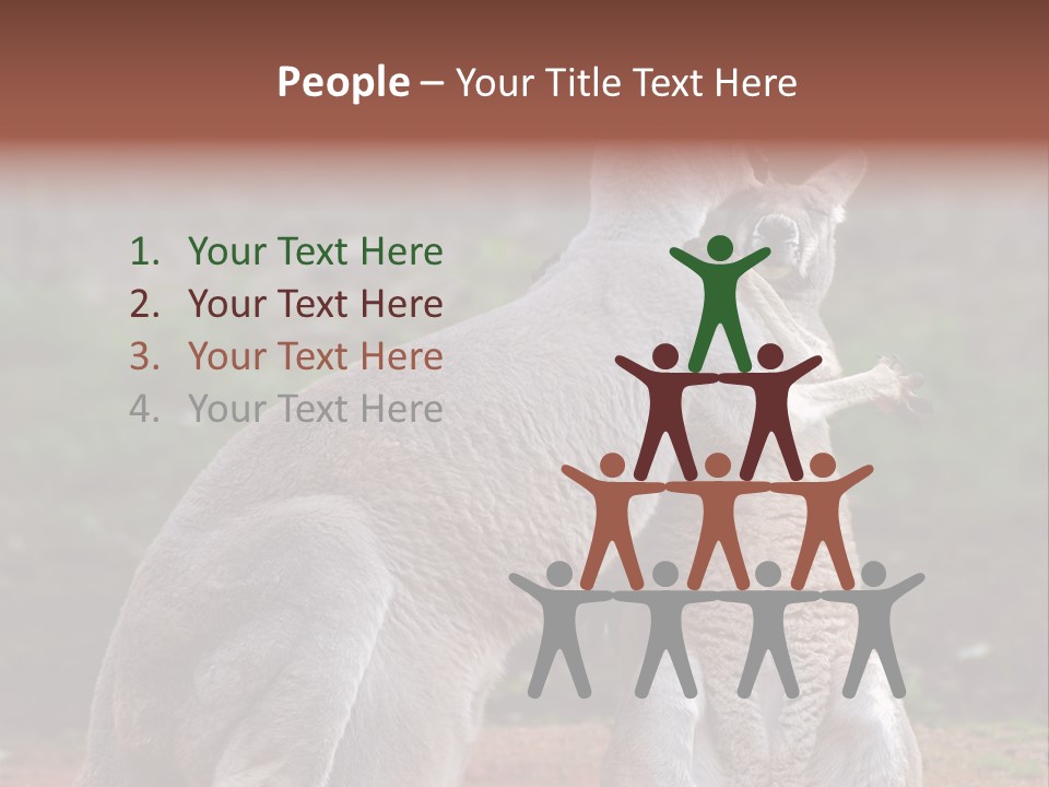 A Kangaroo And A Kangaroo Standing Next To Each Other PowerPoint Template