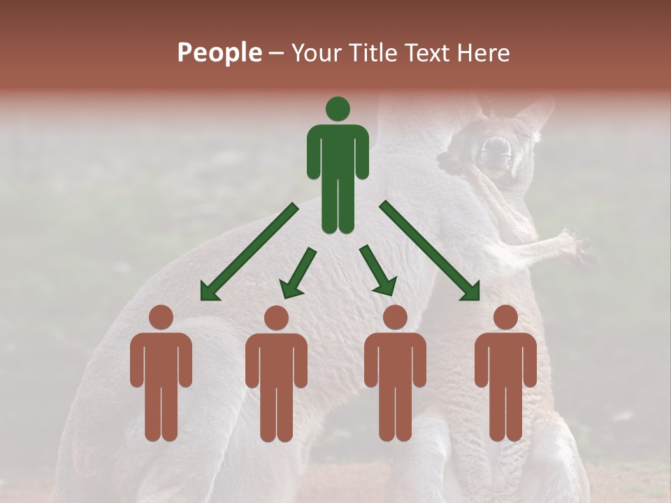 A Kangaroo And A Kangaroo Standing Next To Each Other PowerPoint Template