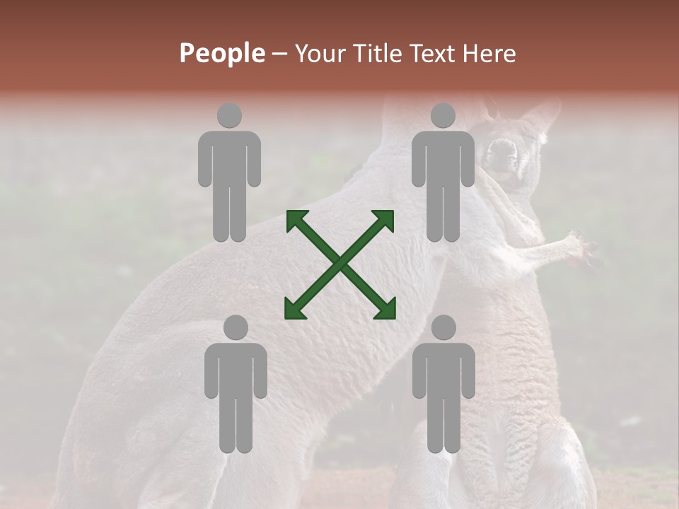 A Kangaroo And A Kangaroo Standing Next To Each Other PowerPoint Template
