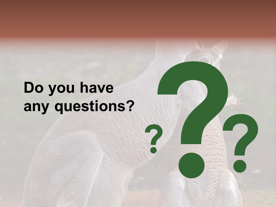 A Kangaroo And A Kangaroo Standing Next To Each Other PowerPoint Template