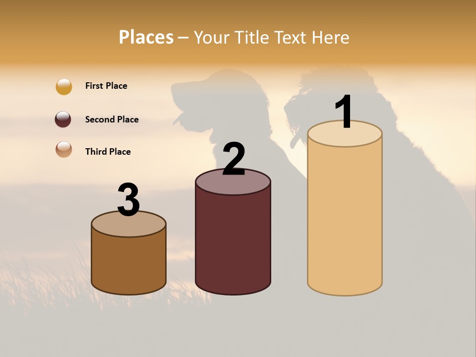 A Couple Of Dogs Sitting On Top Of A Grass Covered Field PowerPoint Template