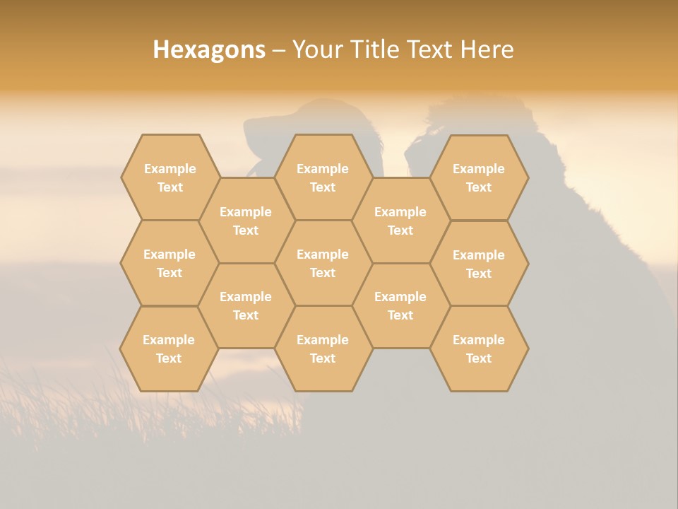 A Couple Of Dogs Sitting On Top Of A Grass Covered Field PowerPoint Template