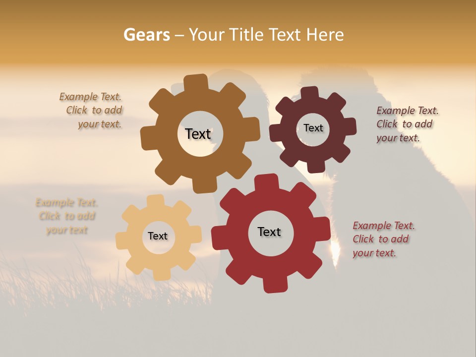 A Couple Of Dogs Sitting On Top Of A Grass Covered Field PowerPoint Template