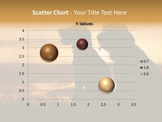 A Couple Of Dogs Sitting On Top Of A Grass Covered Field PowerPoint Template