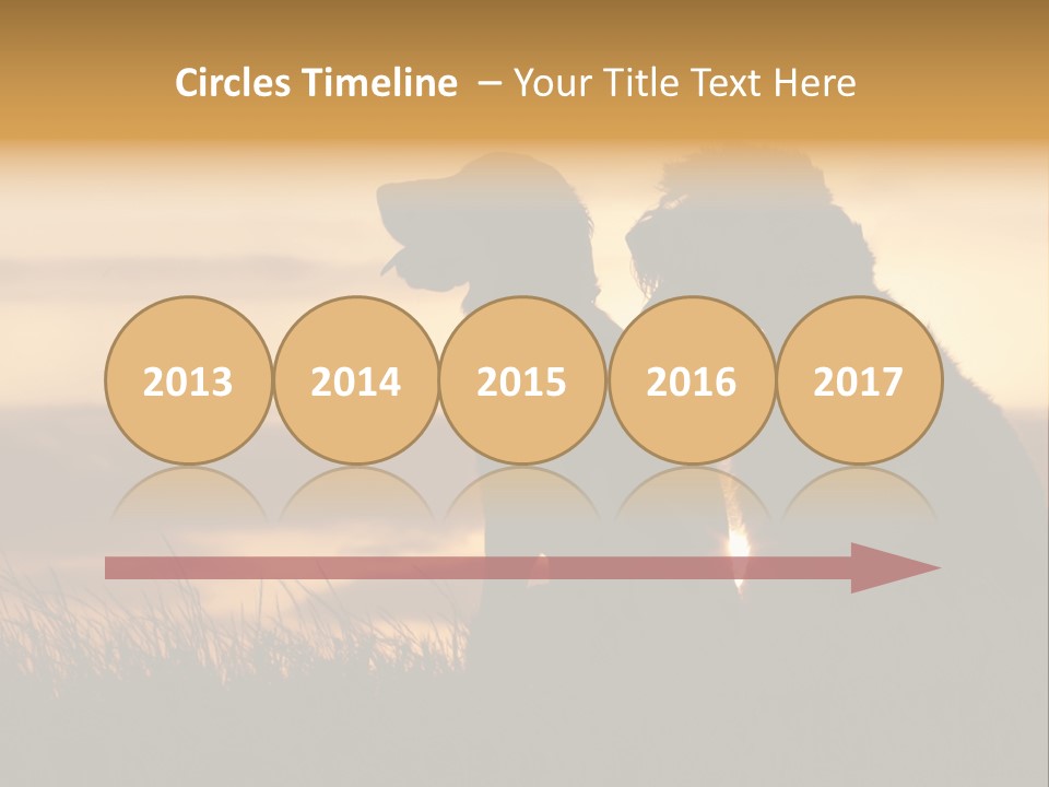 A Couple Of Dogs Sitting On Top Of A Grass Covered Field PowerPoint Template