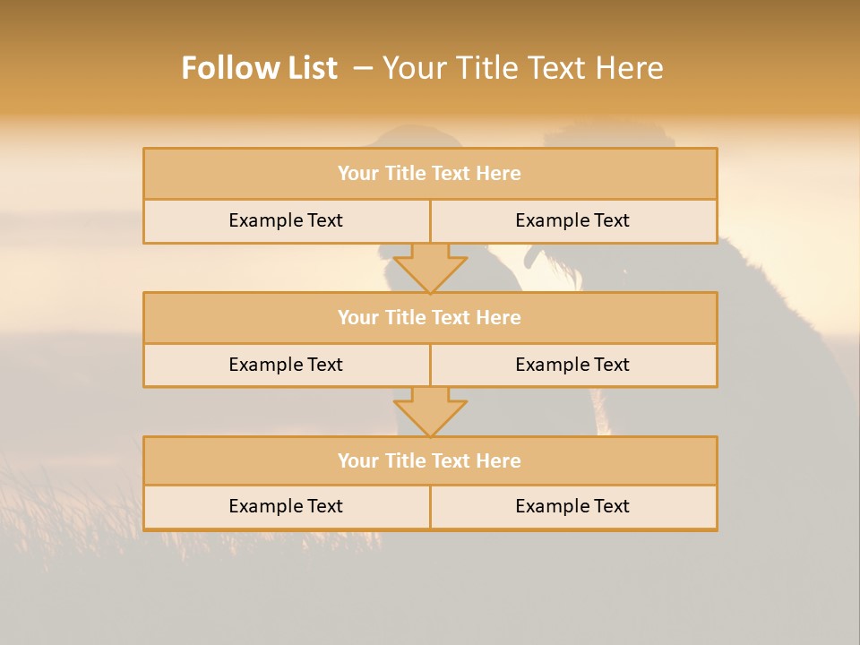 A Couple Of Dogs Sitting On Top Of A Grass Covered Field PowerPoint Template