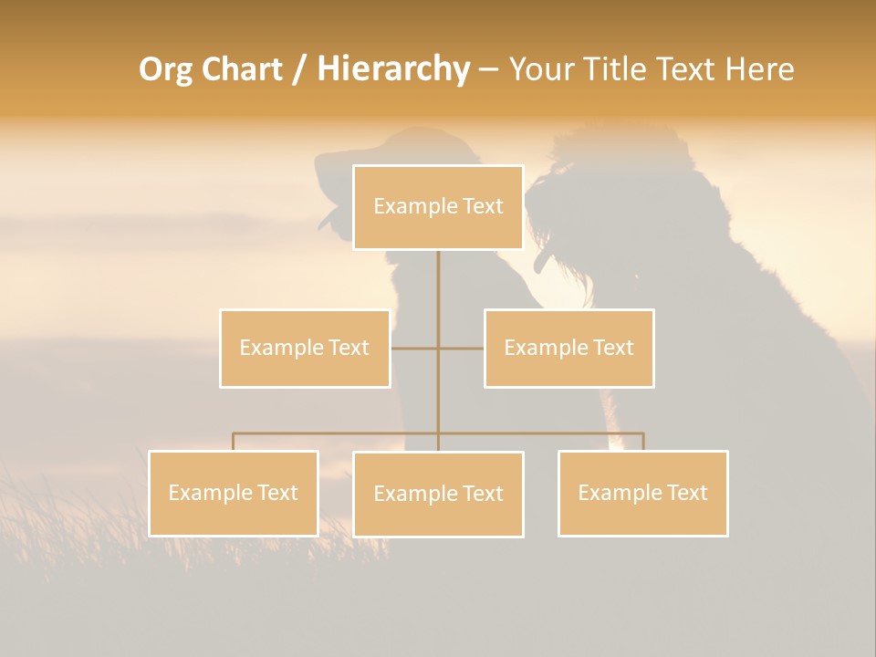 A Couple Of Dogs Sitting On Top Of A Grass Covered Field PowerPoint Template
