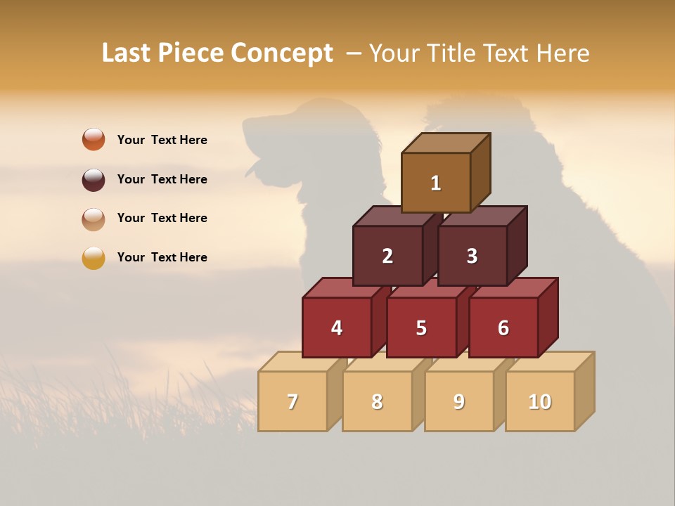 A Couple Of Dogs Sitting On Top Of A Grass Covered Field PowerPoint Template