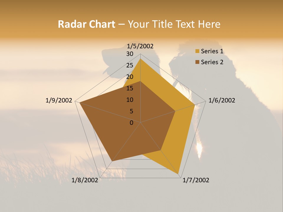 A Couple Of Dogs Sitting On Top Of A Grass Covered Field PowerPoint Template