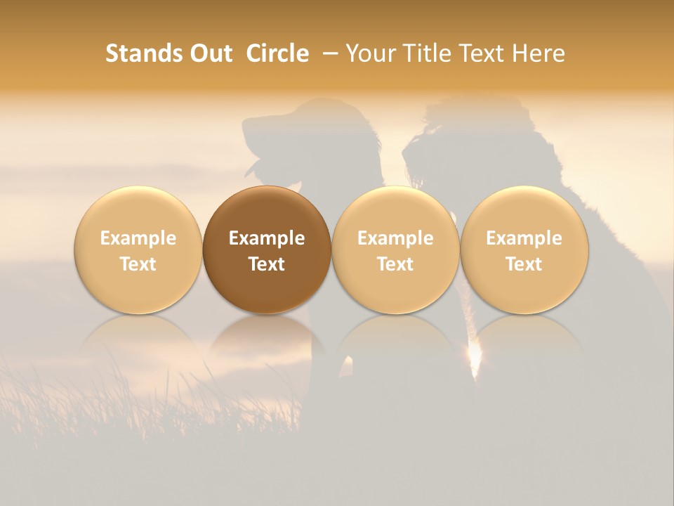 A Couple Of Dogs Sitting On Top Of A Grass Covered Field PowerPoint Template