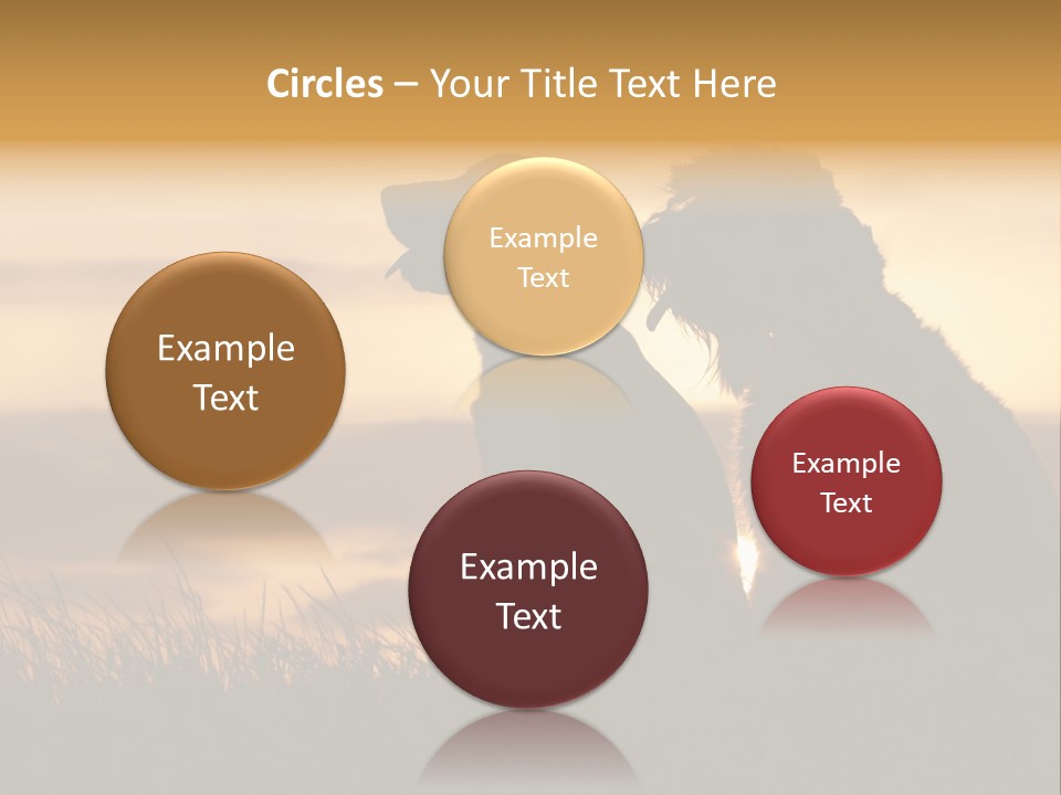 A Couple Of Dogs Sitting On Top Of A Grass Covered Field PowerPoint Template