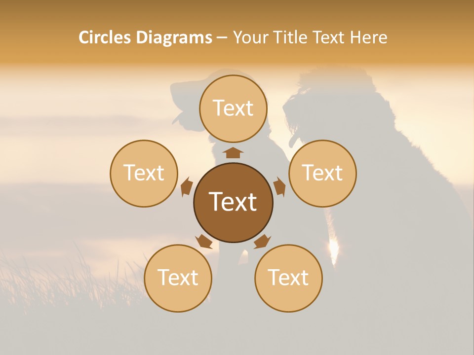 A Couple Of Dogs Sitting On Top Of A Grass Covered Field PowerPoint Template