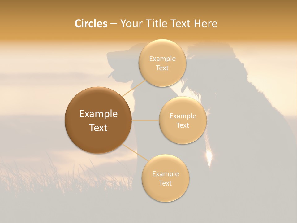 A Couple Of Dogs Sitting On Top Of A Grass Covered Field PowerPoint Template