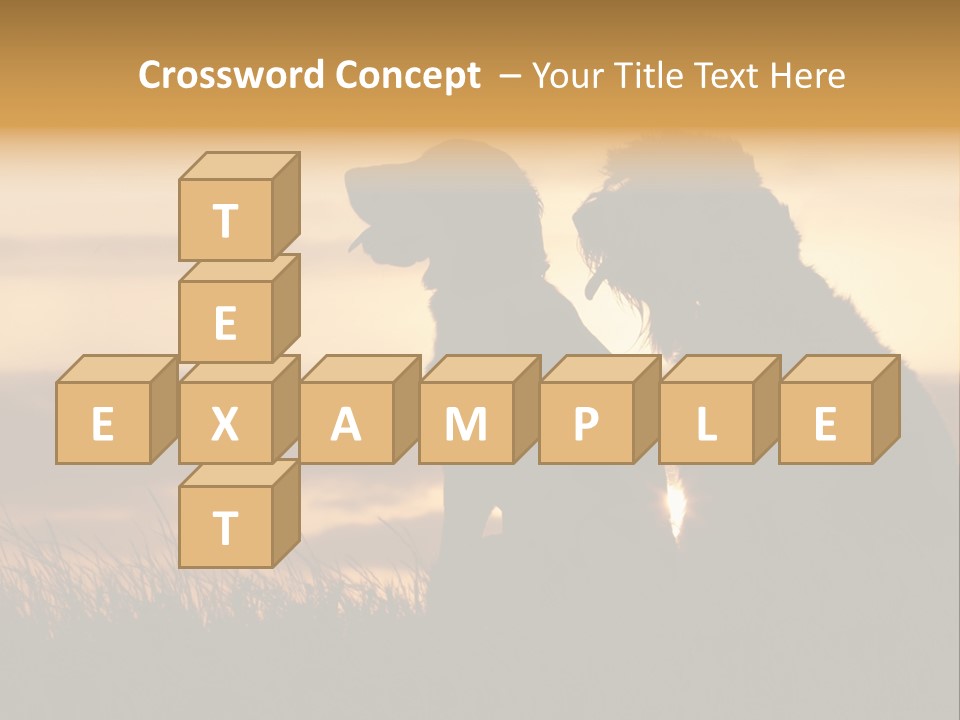 A Couple Of Dogs Sitting On Top Of A Grass Covered Field PowerPoint Template