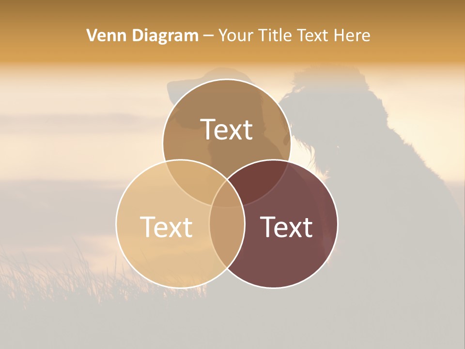 A Couple Of Dogs Sitting On Top Of A Grass Covered Field PowerPoint Template