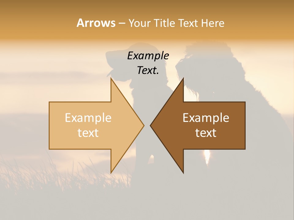 A Couple Of Dogs Sitting On Top Of A Grass Covered Field PowerPoint Template