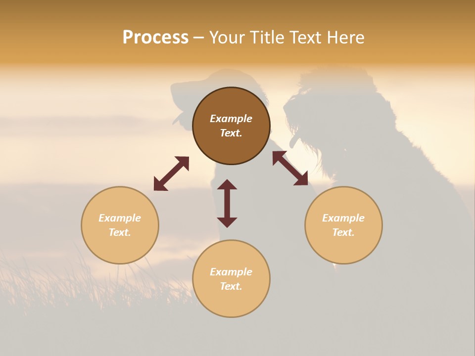 A Couple Of Dogs Sitting On Top Of A Grass Covered Field PowerPoint Template