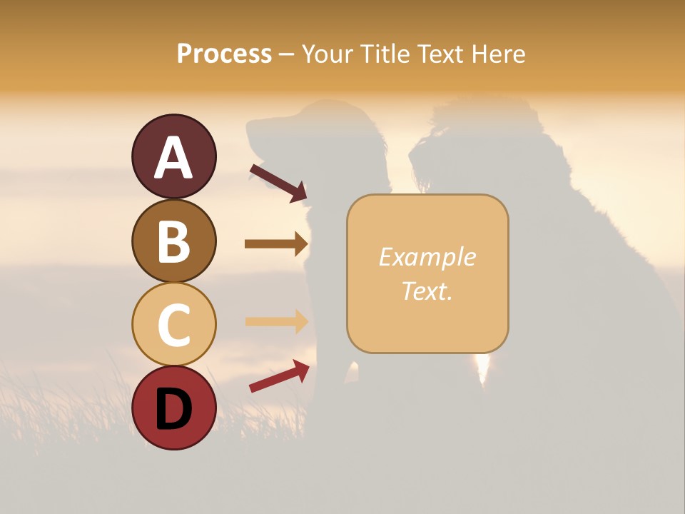 A Couple Of Dogs Sitting On Top Of A Grass Covered Field PowerPoint Template