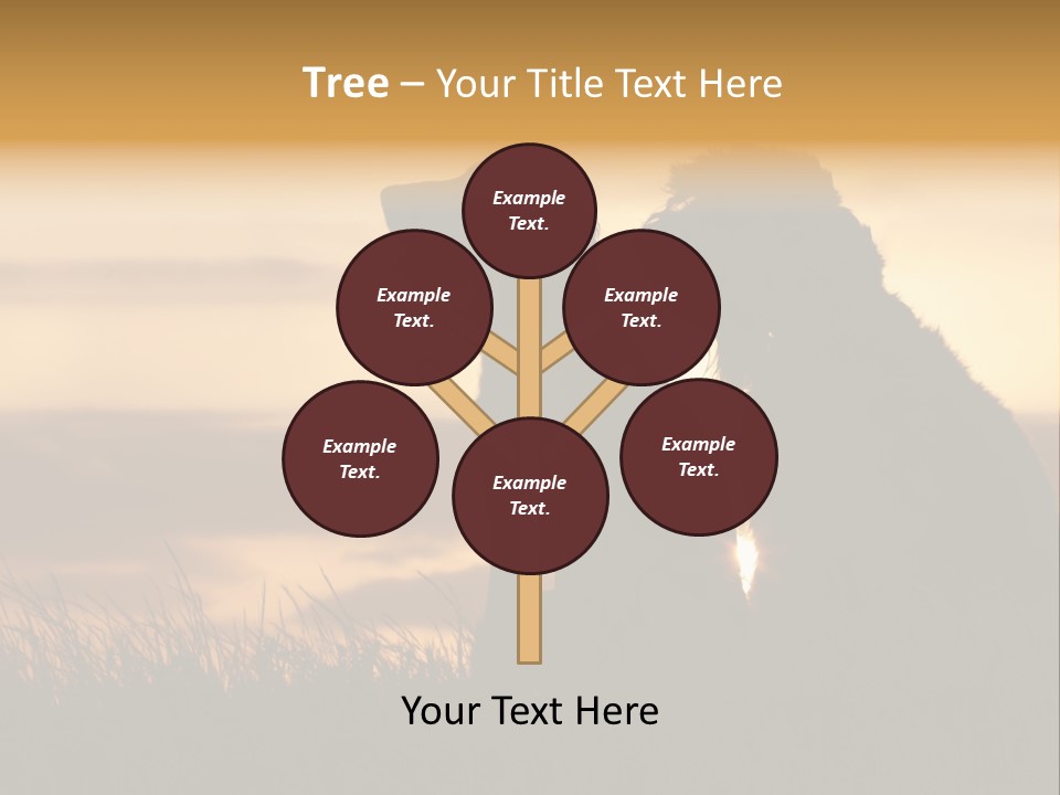 A Couple Of Dogs Sitting On Top Of A Grass Covered Field PowerPoint Template