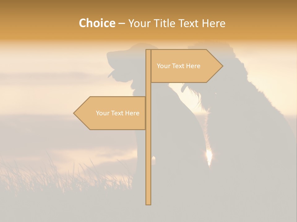 A Couple Of Dogs Sitting On Top Of A Grass Covered Field PowerPoint Template