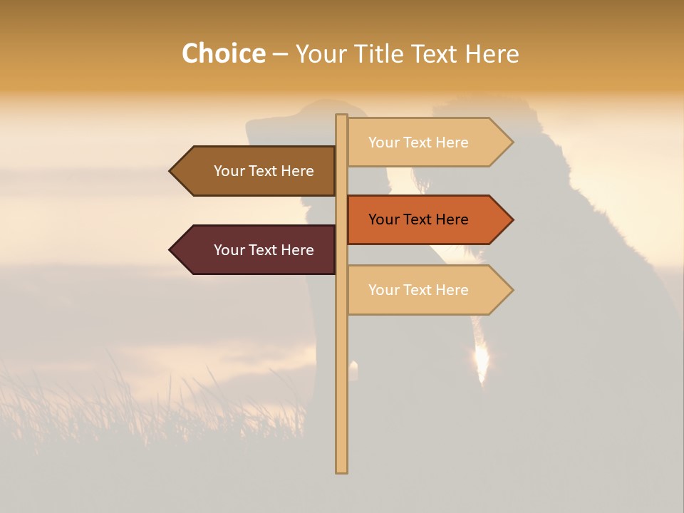 A Couple Of Dogs Sitting On Top Of A Grass Covered Field PowerPoint Template