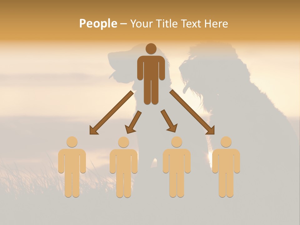 A Couple Of Dogs Sitting On Top Of A Grass Covered Field PowerPoint Template