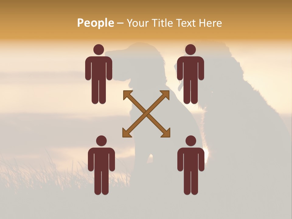 A Couple Of Dogs Sitting On Top Of A Grass Covered Field PowerPoint Template