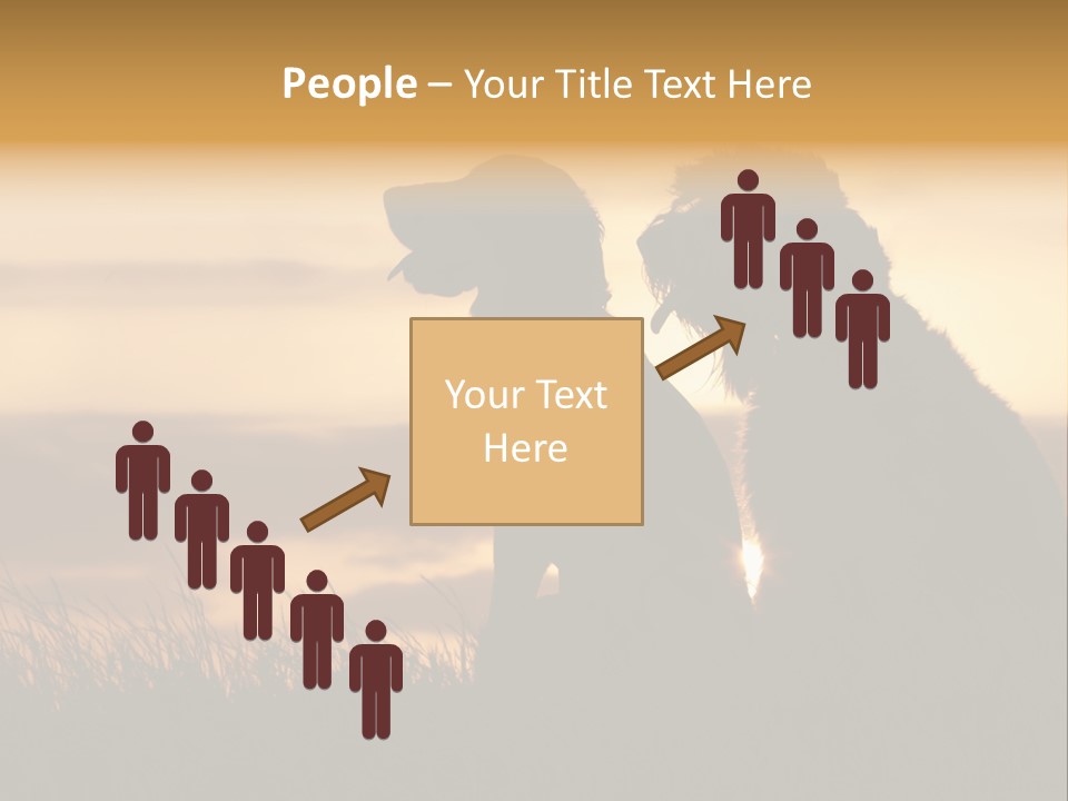 A Couple Of Dogs Sitting On Top Of A Grass Covered Field PowerPoint Template