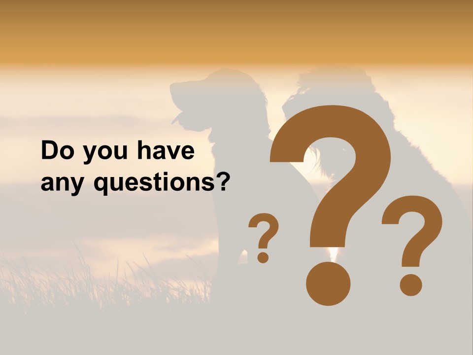 A Couple Of Dogs Sitting On Top Of A Grass Covered Field PowerPoint Template