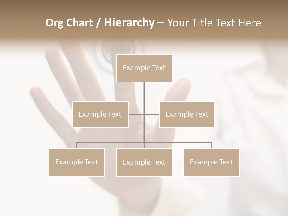 Store Fronts PowerPoint Template