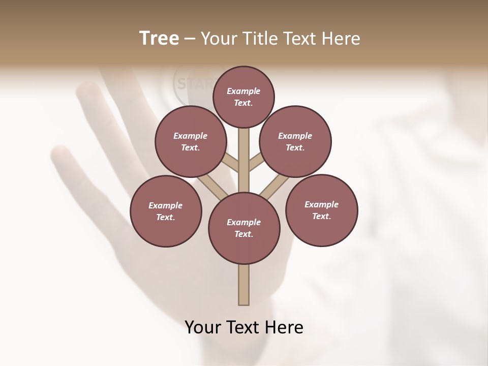 Store Fronts PowerPoint Template